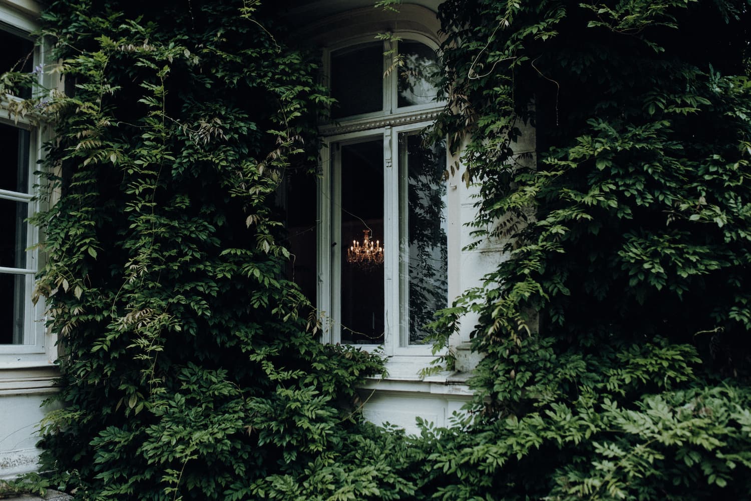 Das Herrenhaus Gut Bliestorf von außen. Wunderschön zugewachsen mit Efeu.