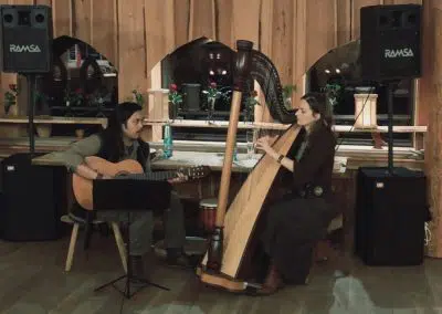 Hochzeitsmusikerin Hamburg RIKA - folkharp Duo