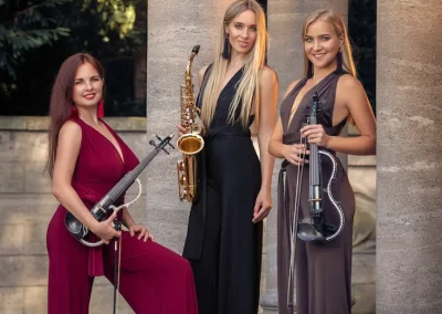 Instrumentalistin Bergisch Gladbach Anna GoldInstrumentalistin Bergisch Gladbach Anna Gold