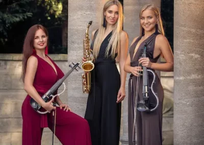 Instrumentalistin Bergisch Gladbach Anna Gold